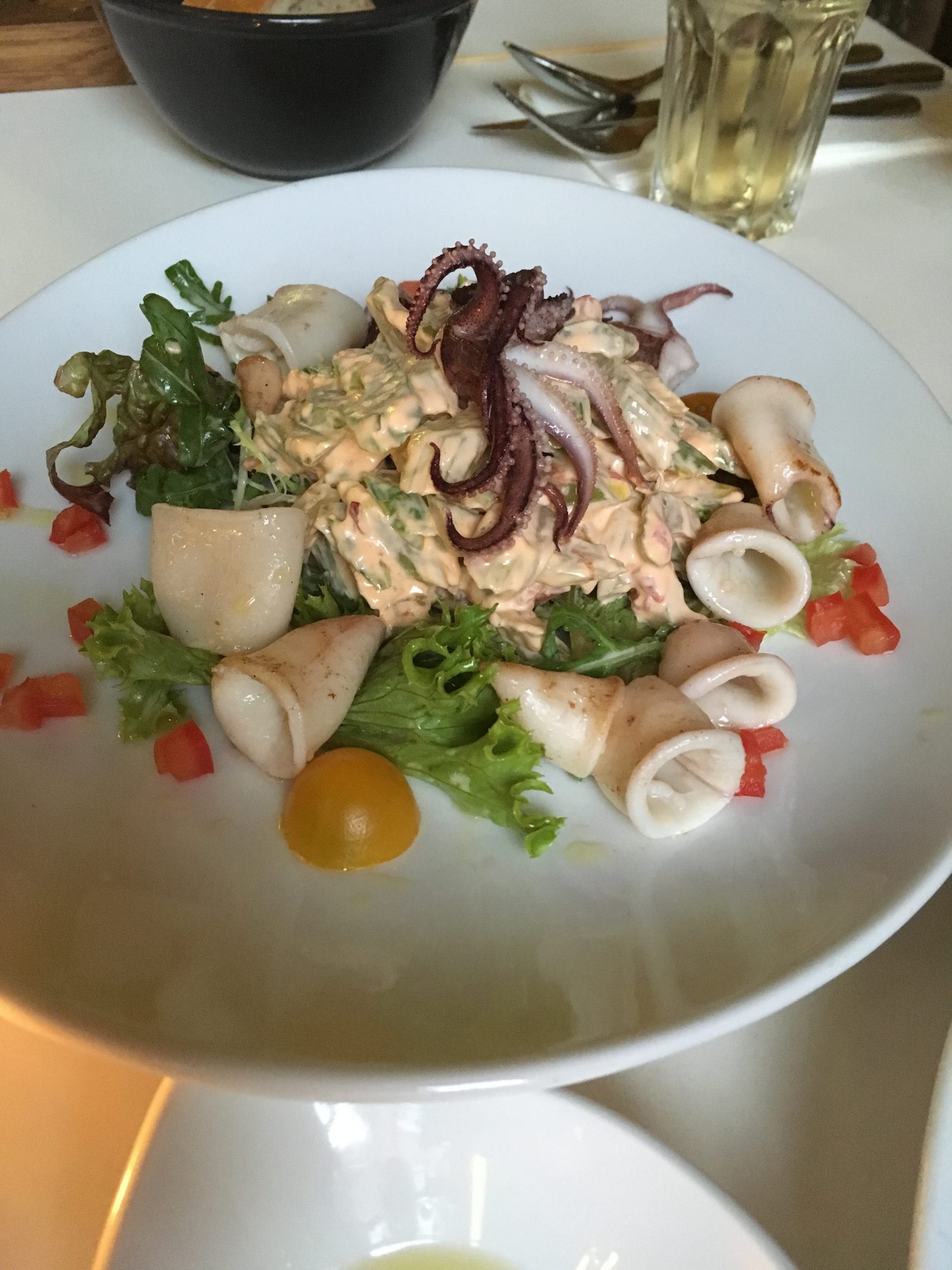 Tintenfisch, Eisenstein