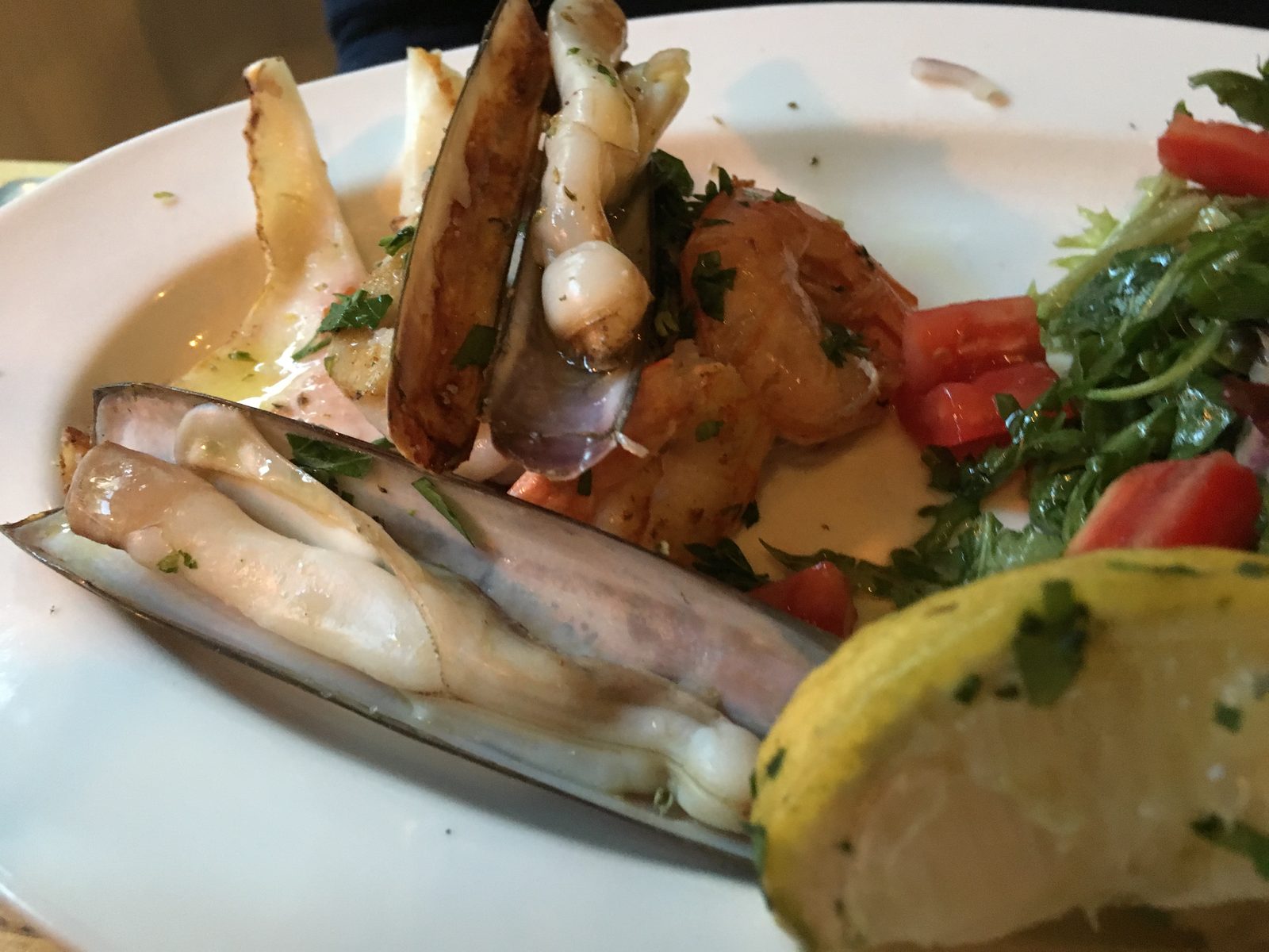 Fisch und Muscheln