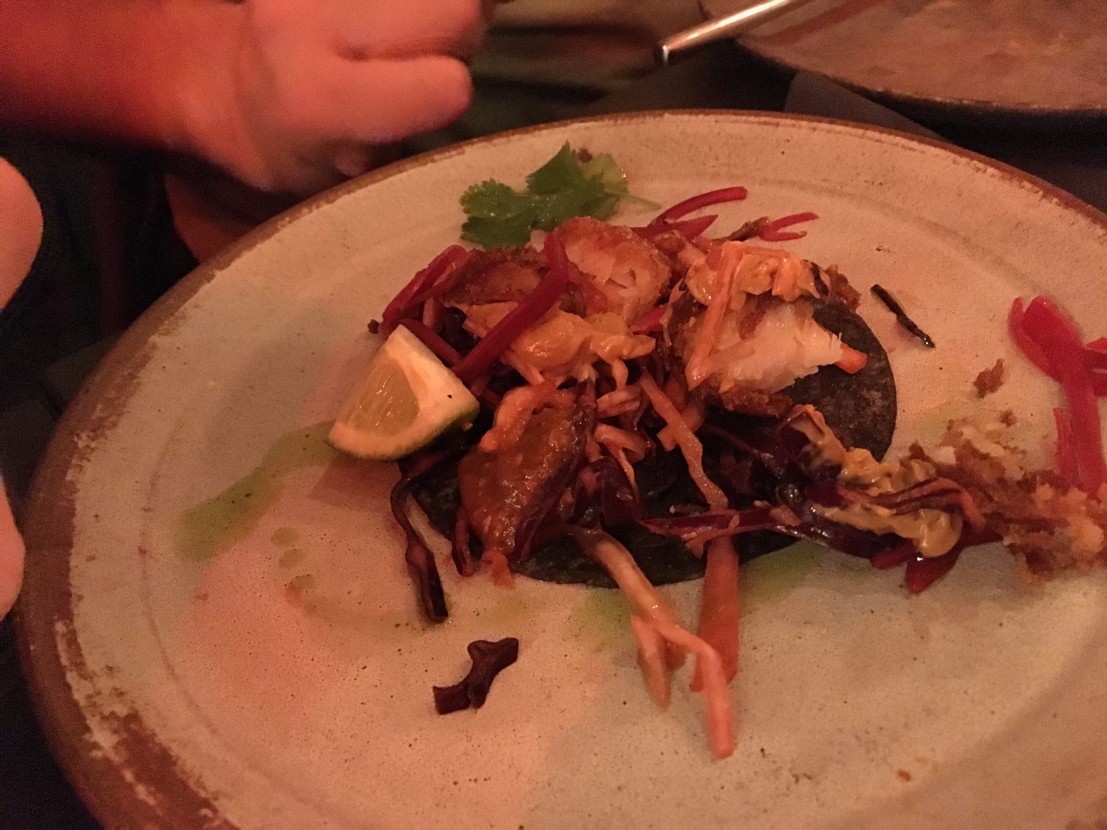 Fisch-Taco