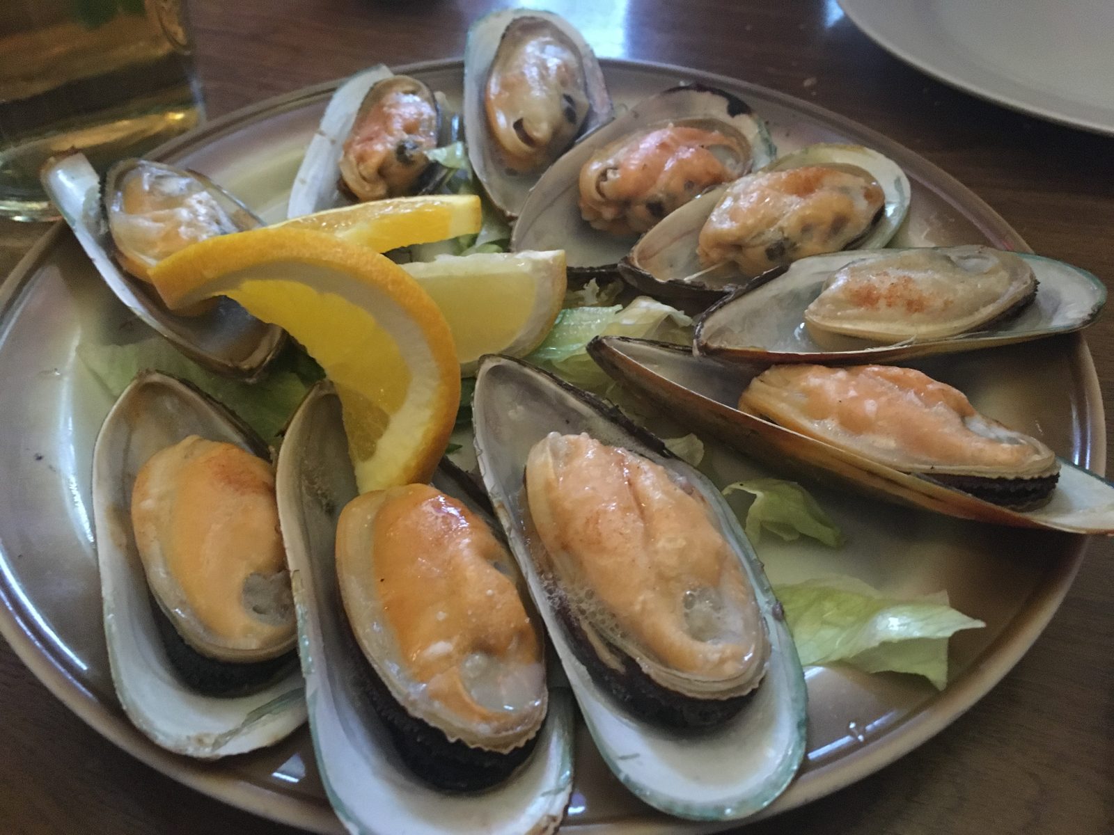 Grünschalen Muscheln