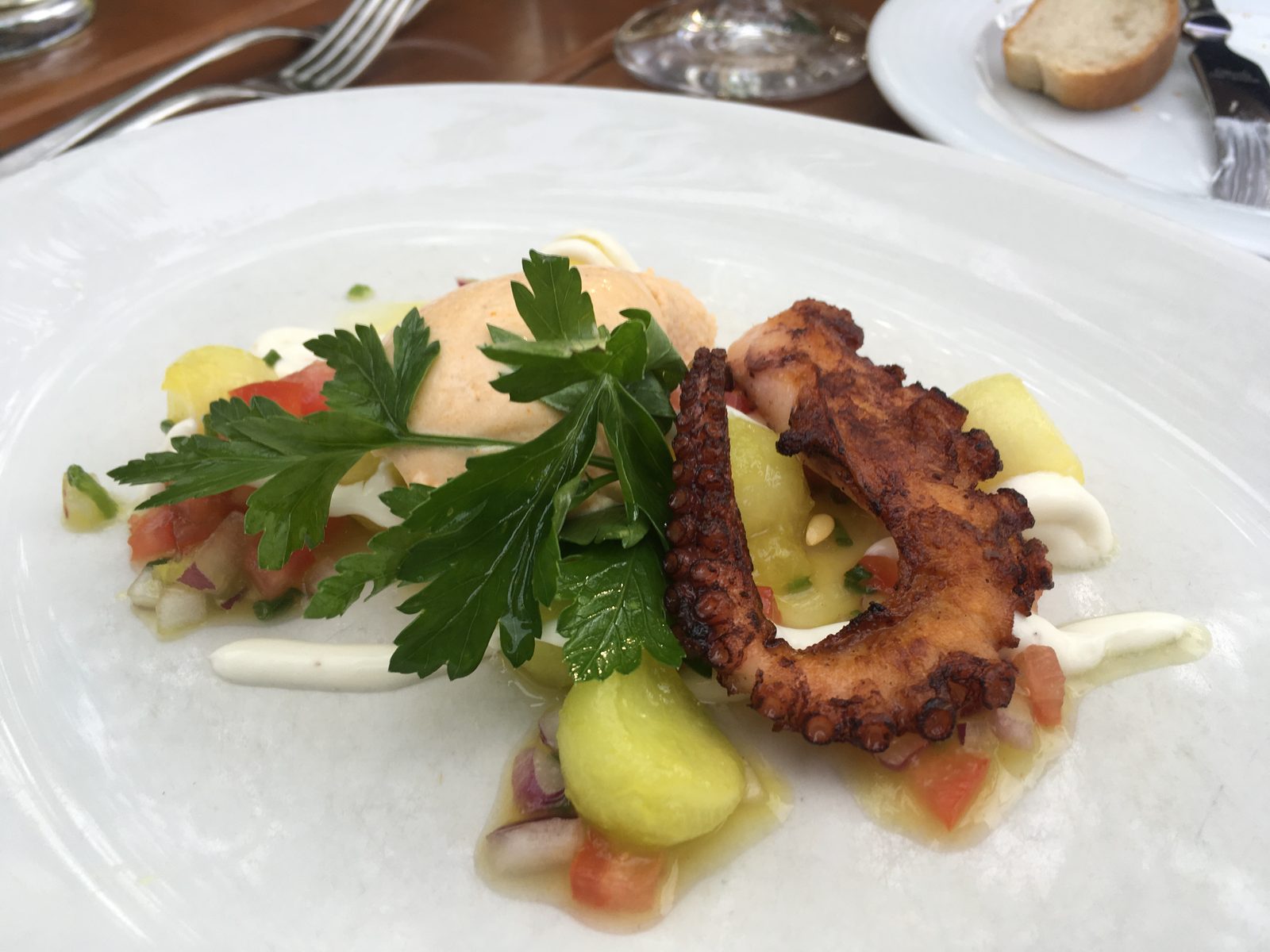 Pulpo
