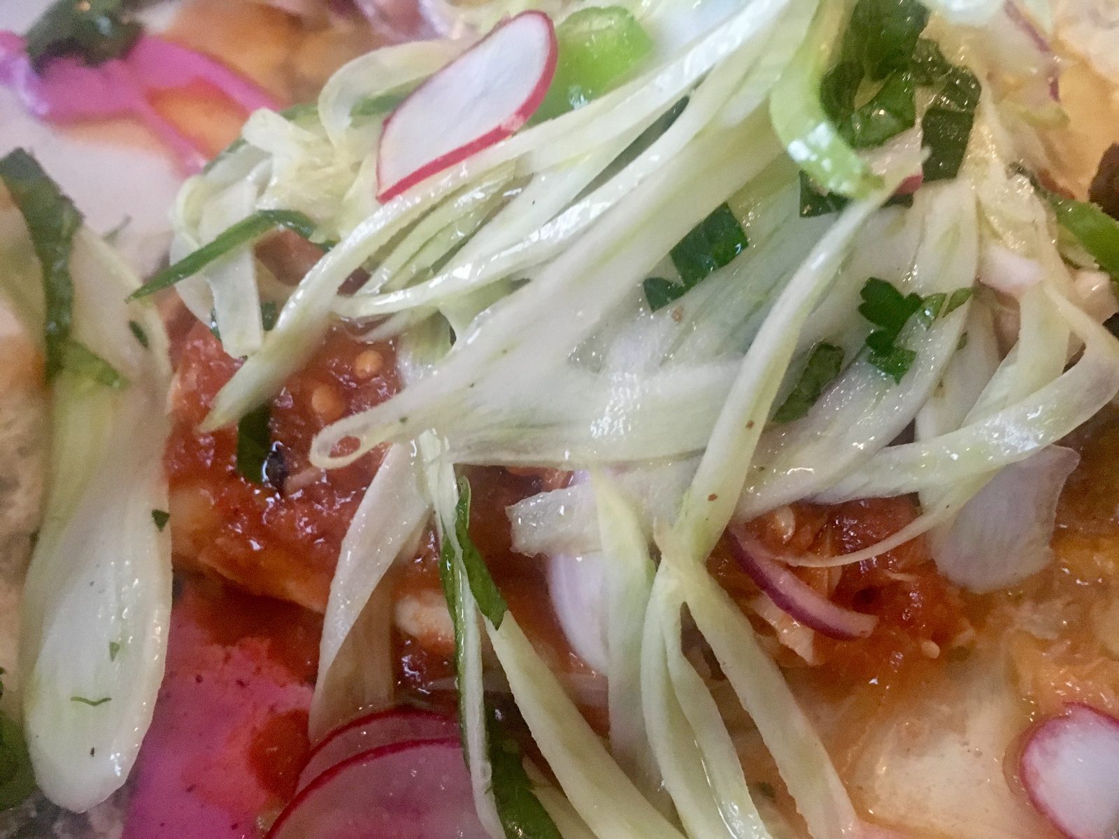 Fisch, Fenchel