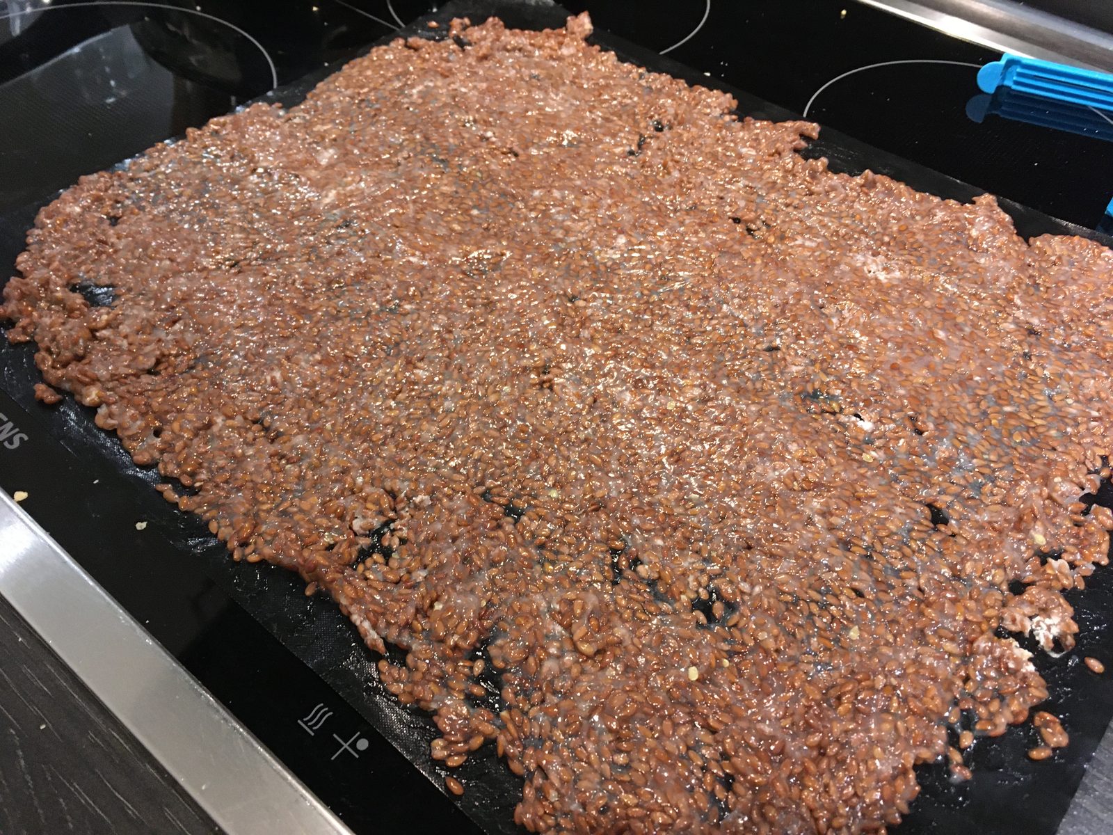 Leinsamenchips