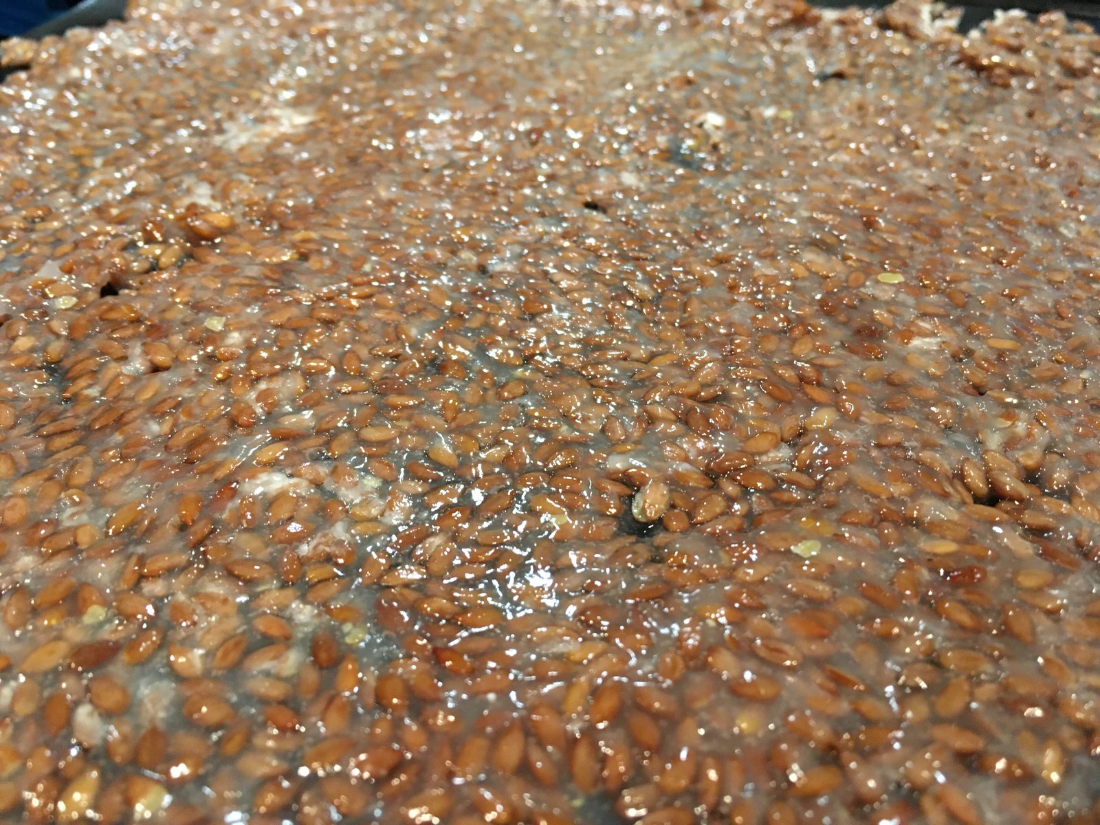 Leinsamenchips