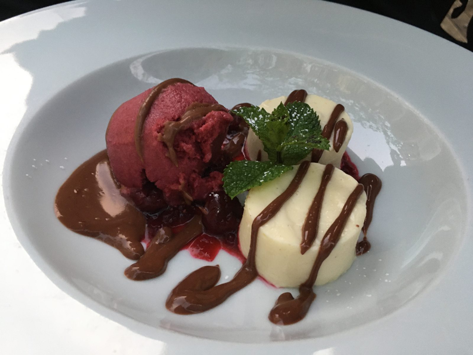 Panna Cotta mit Schokoladensauce und Kirschsorbet